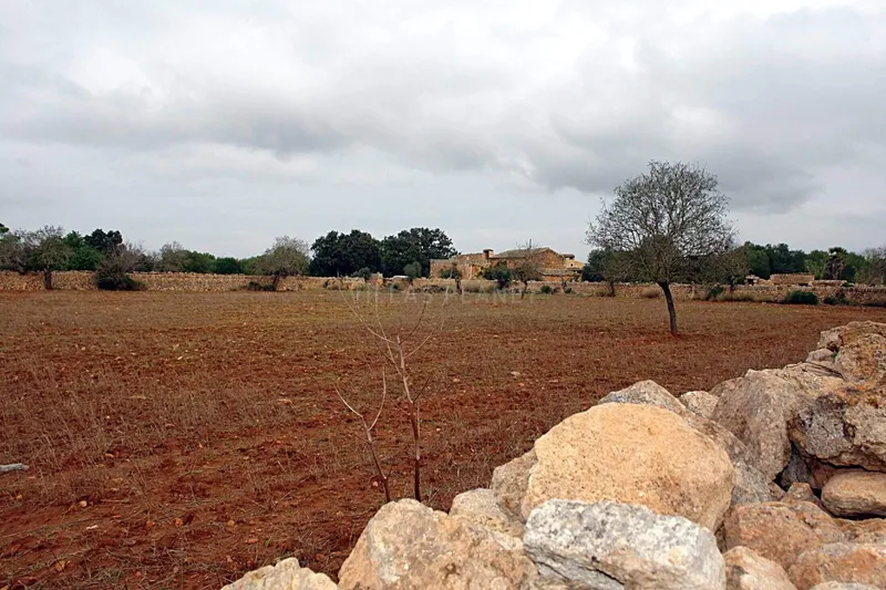 Wide Country Estate in ... — photo 5