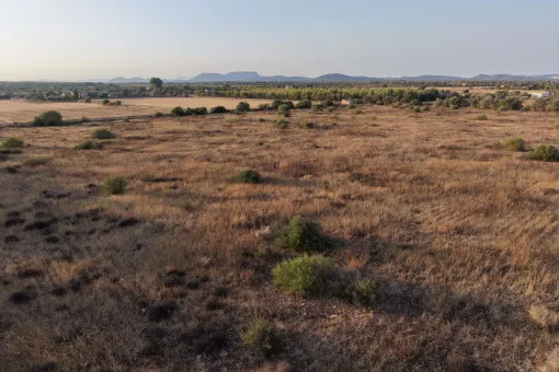 Campos, Idyllic Plot with Panoramic Views and New-Build Project between Campos and the Coast — photo 8