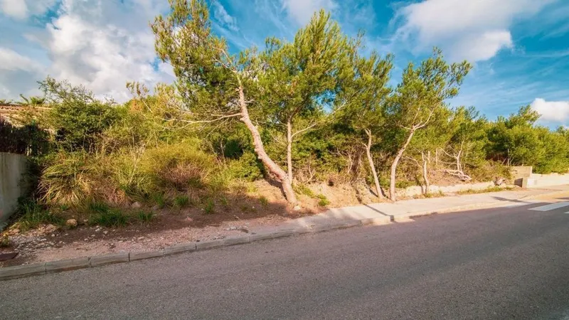 Land in Capdepera, Province of Balearic Islands — photo 6