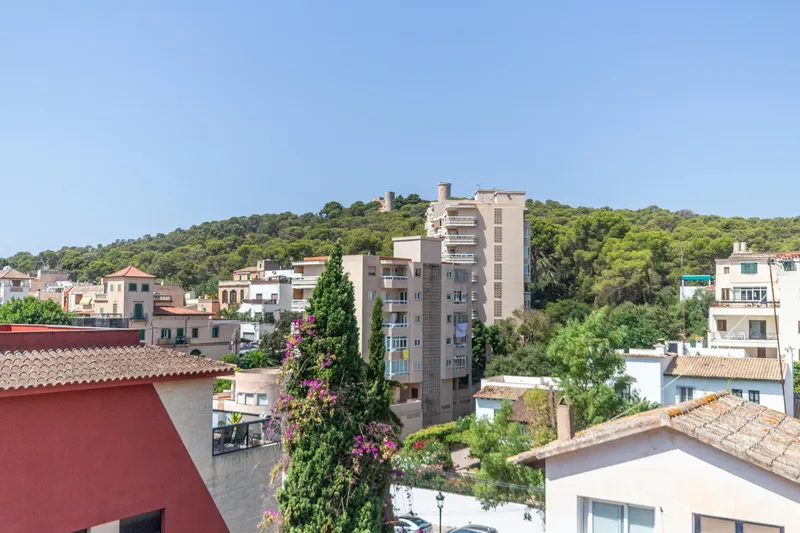 Spectacular penthouse with private terrace and pool in Son Armadams — photo 7