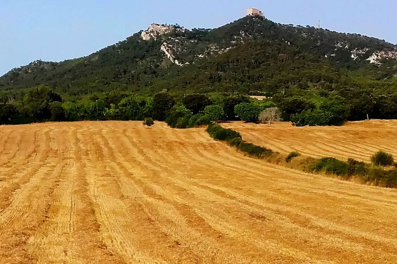 Large building plot with open views near Felanitx at Puig de Sant Salvador — photo 1