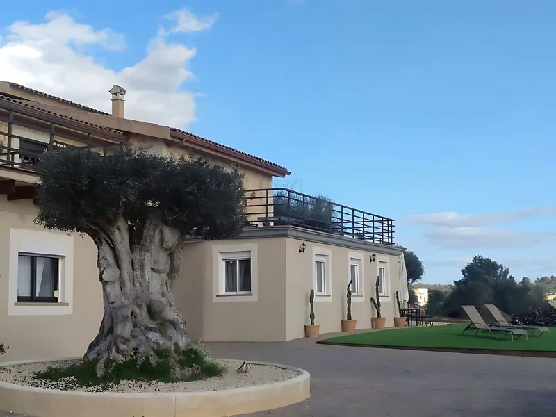 Palma – Impressive finca with rural estate and holiday rental license — photo 3