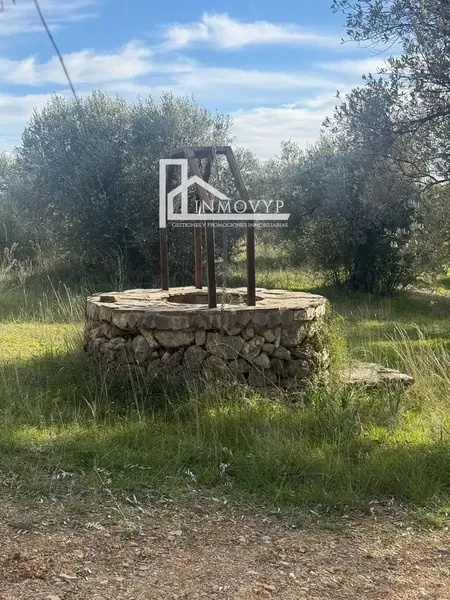 Beautiful rustic estate for sale in Mancor de la Vall (Mallorca), located in a privileged position, at the highest point of the municipality — photo 9