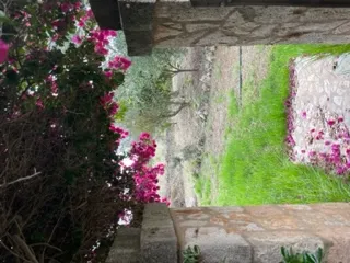 Unique Singular Place — photo 2