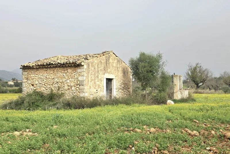 Rustic estate with improvement project — photo 3