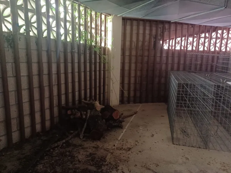 Garage in Felanitx — photo 2