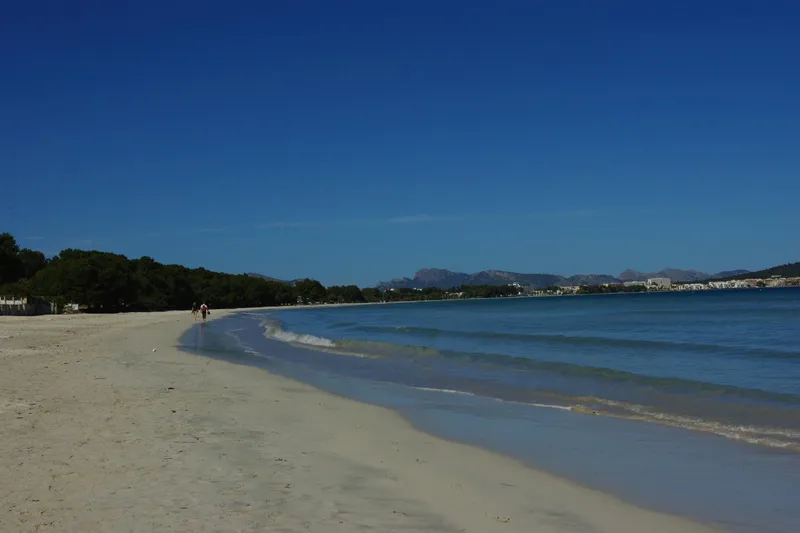 Bungalow for sale in Alcudia of 296 m2 — photo 10