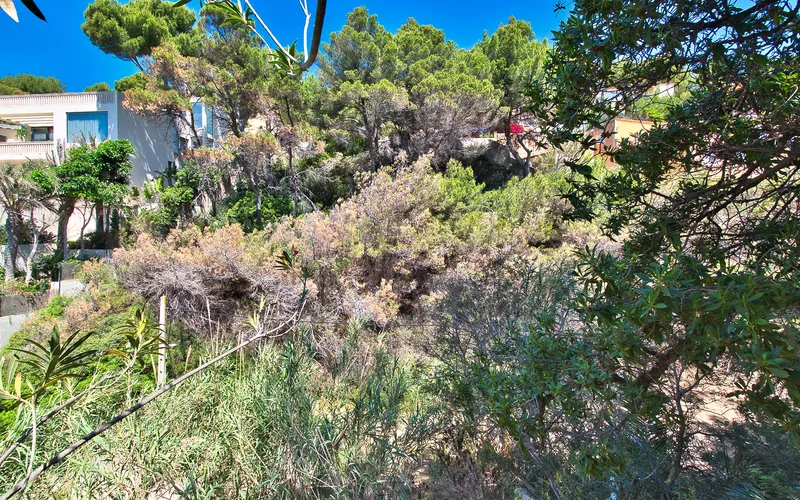 Plot in Costa de la Calma — photo 5