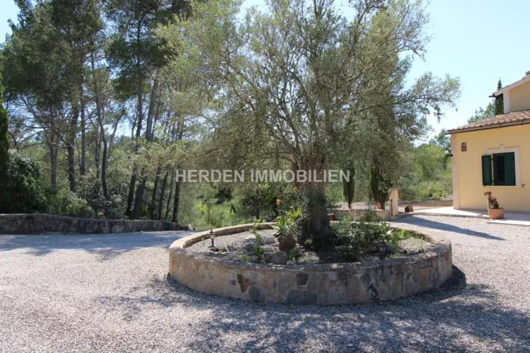 Dreamlike Finca for Sale in Montuïri, Mallorca — photo 4