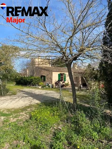 Mediterranean Sanctuary near Sineu – 3.5 Hectares of Pure Nature — photo 3