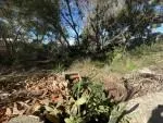 Multi-family plot for sale in Son Verí Nou — photo 3