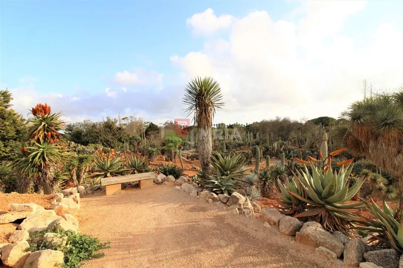 Building for sale – Ses Salines (Mallorca) — photo 8