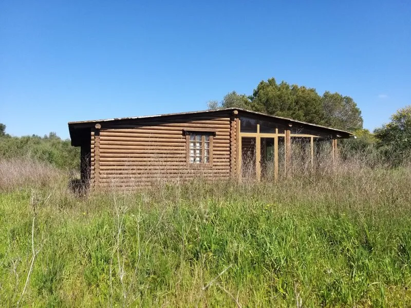 Wooden Finca Manacor Felanitx for Sale — photo 2