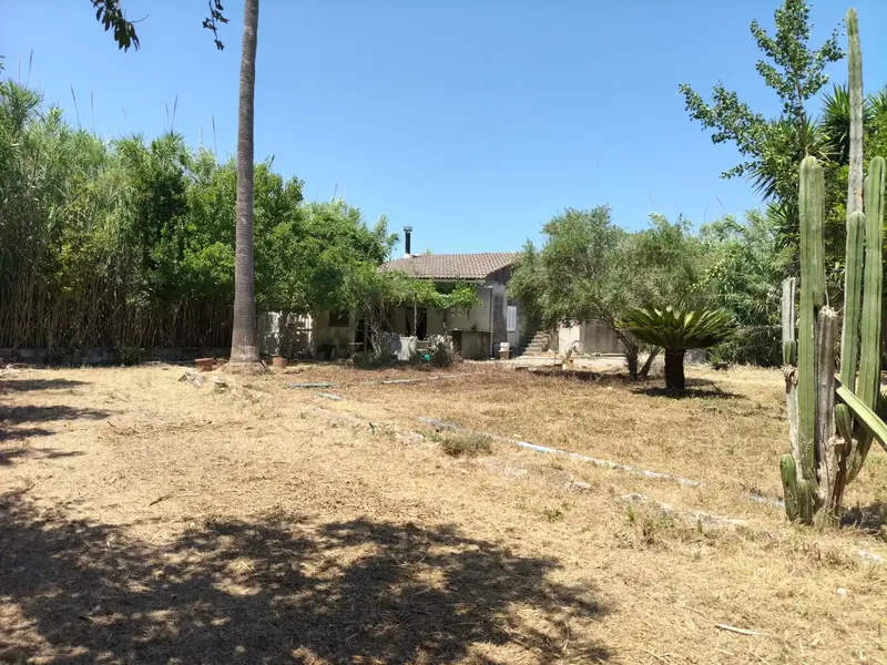 Beautiful finca in Sa Pobla, with 3300 m2, and house of 56 m2, with 1 bedroom, bathroom, living-dining room with fireplace, and kitchen, no electricity, works — photo 2