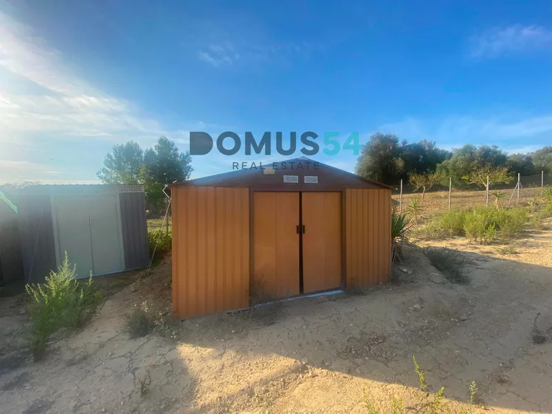 Rustic land not buildable in Maria de la Salut — photo 4