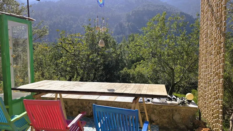Olive grove with stone cottage and views of the Tramuntana in Sóller — photo 4