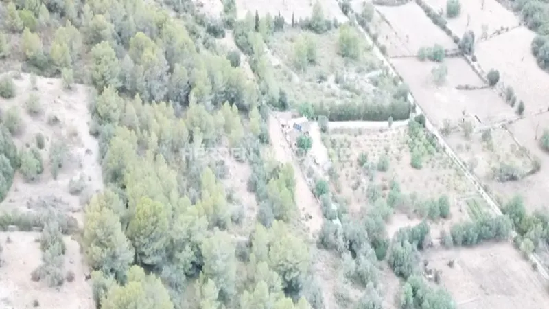 Plot of Land in Son Servera for Sale — photo 9