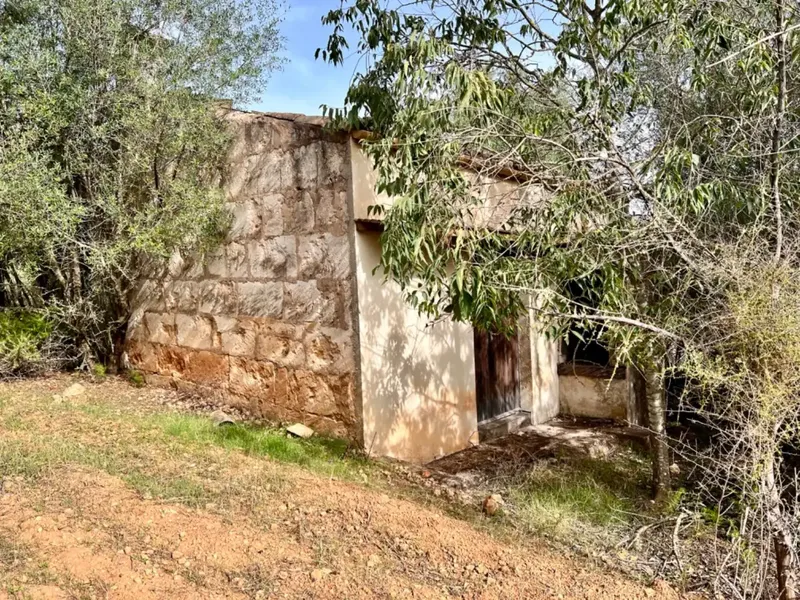 Finca with project in Campanet, near 17,400 m2 of land, with views of the Serra de Tramontana and the area of the Caves of Campanet — photo 5