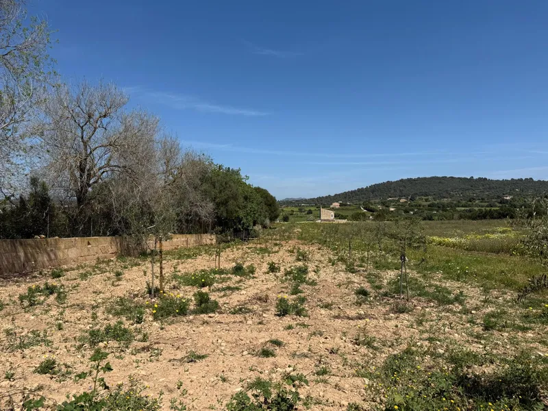 Rustic finca with project and building permits — photo 12