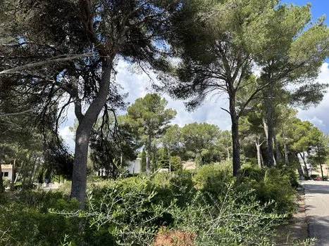 Centrally located — photo 3