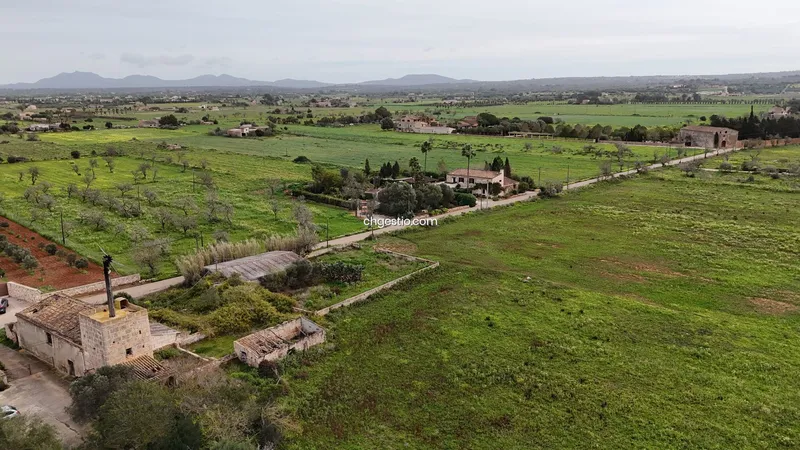 Plot in Campos — photo 5