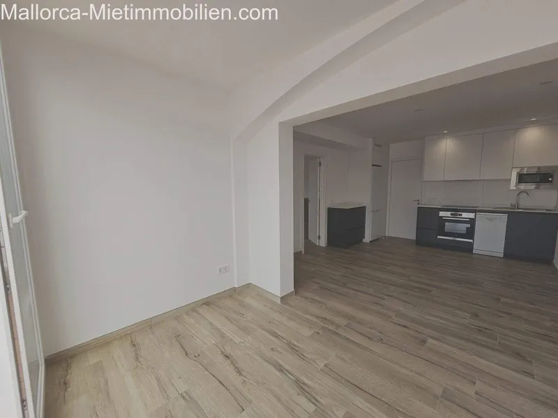 70m² apartment with 2 rooms, bathroom and terrace for rent — photo 8