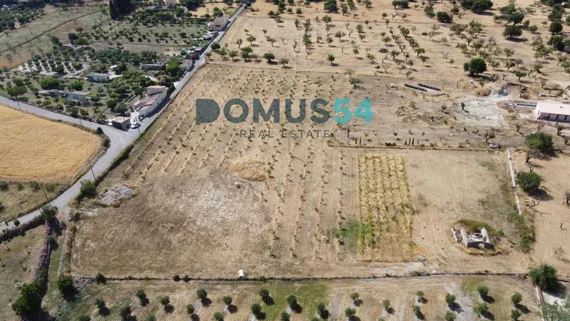 Land in Caimari, Province of Balearic Islands — photo 9