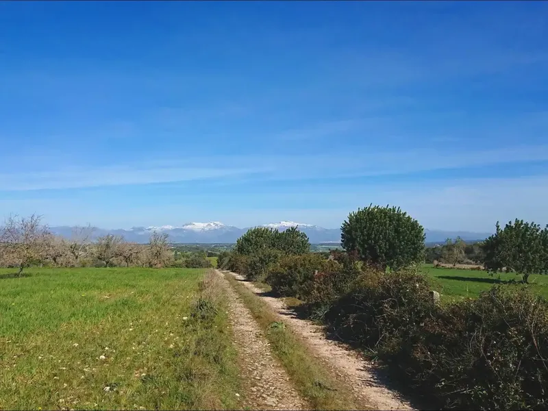 This magnificent Mallorcan country house with 550,000 m2 of land and buildings totaling 2,000 m2 in Algaida dates from the 15th century, although the — photo 4
