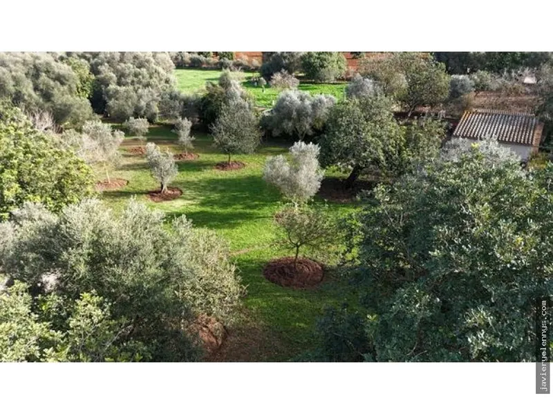 Rural house rental in Poligono Poligon 29 — photo 3