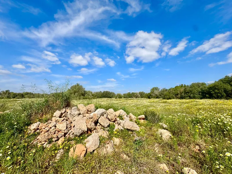 Exclusive rustic plot in a privileged setting near the best beaches of Mallorca — photo 10