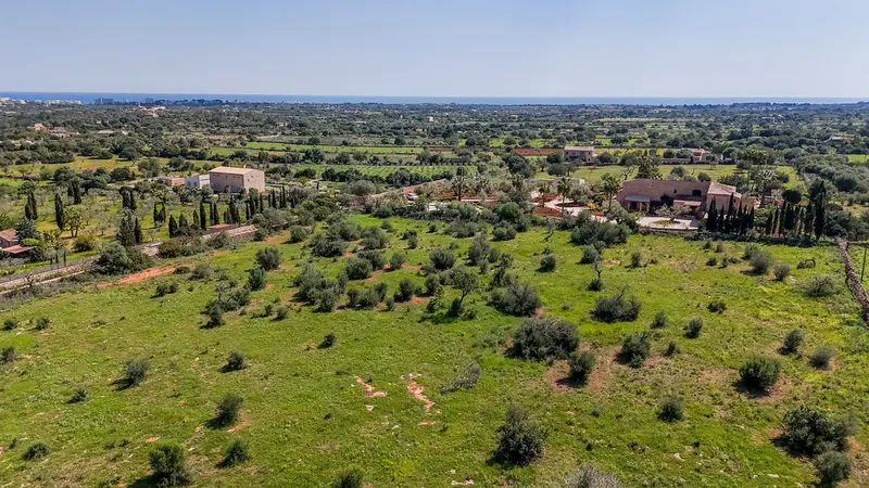 Plot with sea views 10 minutes from Porto Cristo — photo 8