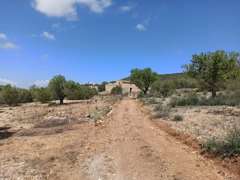 Finca Top Location for Renovation for Sale in Son Macia — photo 9
