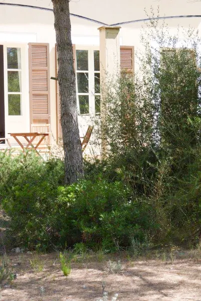 Rustic Finca with country house and own forest in Artà — photo 8