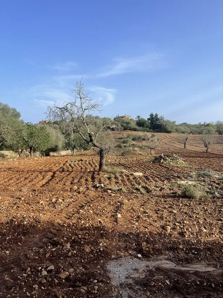 Building plot between S’Alqueria and Cas Concos — photo 1