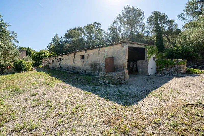 Rural or Farmhouse in Sant Joan, Province of Balearic Islands — photo 12