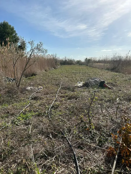 Rustic plot in Sa Pobla — photo 4