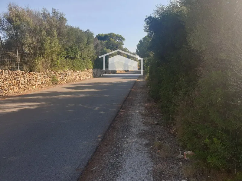 Rustic finca of 19,200 m² in Ses Salines, permit for 400 m² dwelling and pool — photo 5