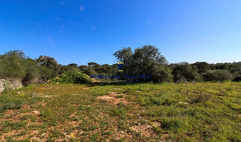 Plot with Project in Santanyí — photo 4