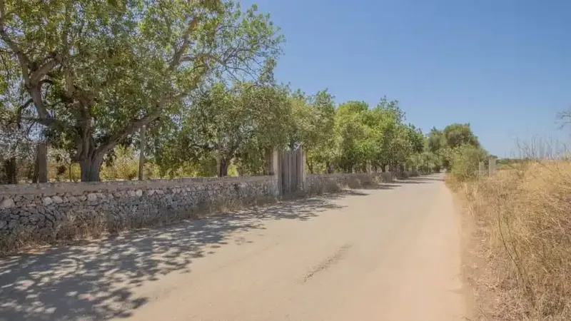 Investment opportunity: property without possession — photo 3
