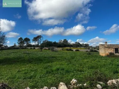 Plot of land - Llubí (Llubi), Plot Surface 14516m² — photo 2