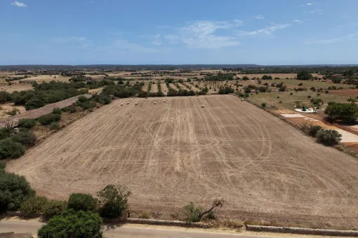 Campos, Attractive Building Plot with Panoramic Open Views near Campos — photo 9