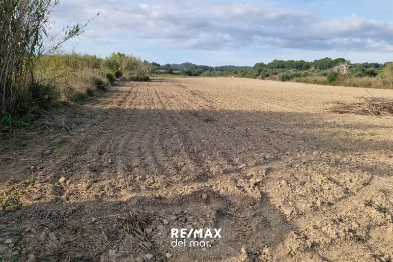 Rustic plot with well in Porreres — photo 8