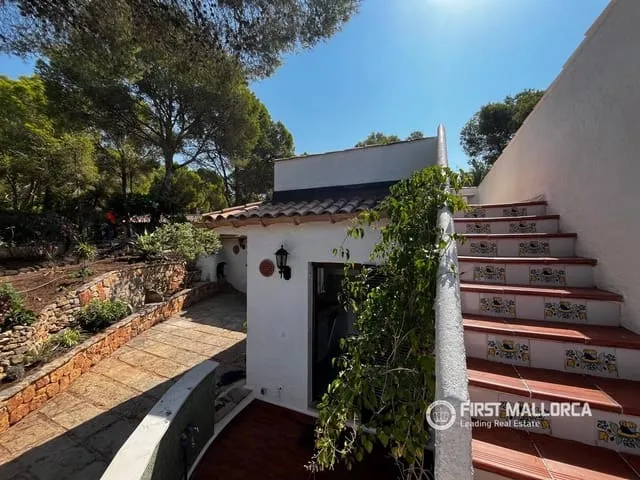Villa for rent in Costa de la Calma, Calvià — photo 12