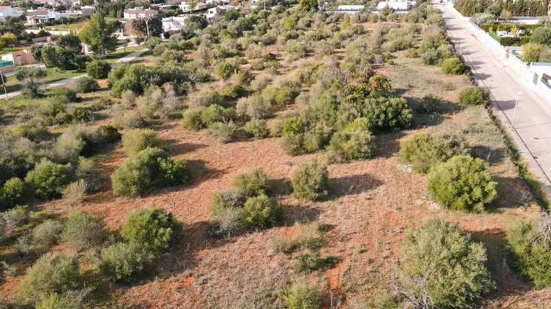 Land in Marratxí, Province of Balearic Islands — photo 5