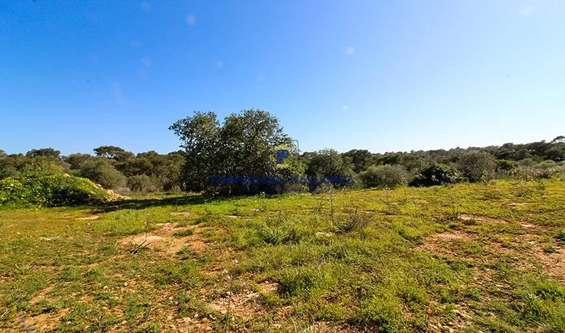 Plot with Project in Santanyí — photo 3