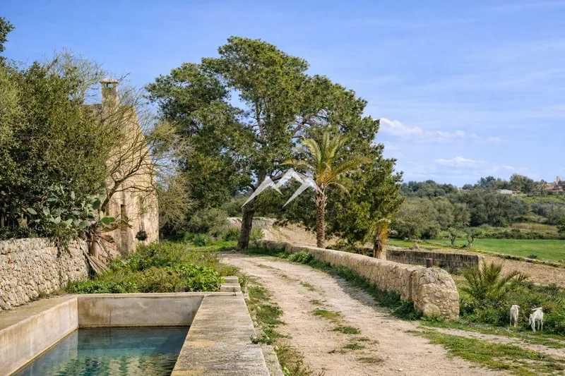 Large Estate of 192,000 m² — photo 3