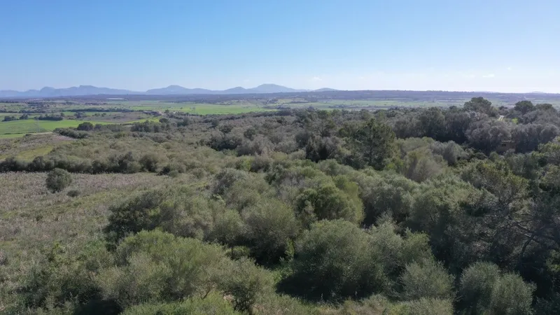 Set of 3 plots with impressive views and a total of approx 252,609m2 in Petra — photo 5