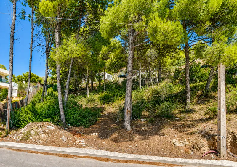 Plot with high investment potential in the prestigious area of Camp de Mar Mas — photo 3
