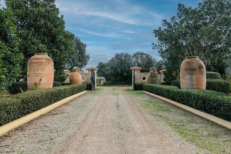 Rustic estate to renovate with farmland in Sencelles — photo 6