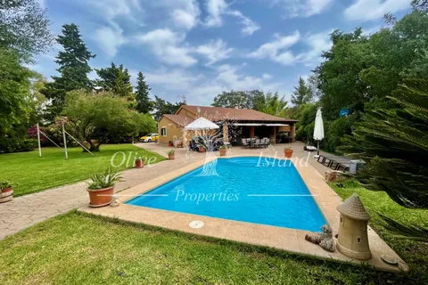 Villa in Binissalem, Mallorca — photo 4